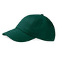 Low Profile Heavy Cotton Drill Cap-fruitamager